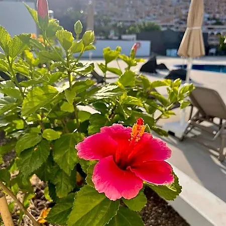 Garden Costa Adeje (Tenerife)